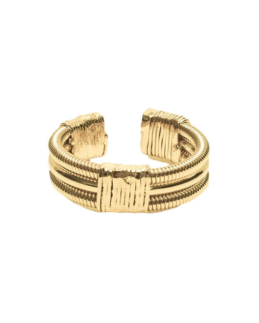 BAGUE 2 CORDES DE BASSE EMBALLEES